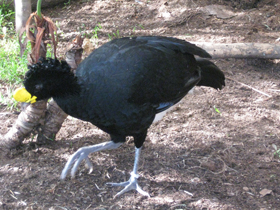 Фото Большой кракс