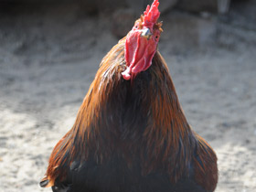 Смотреть фото Храбрецы и трусы Фото Храбрецы и трусы