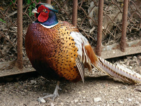 Фото Настройка на мороз