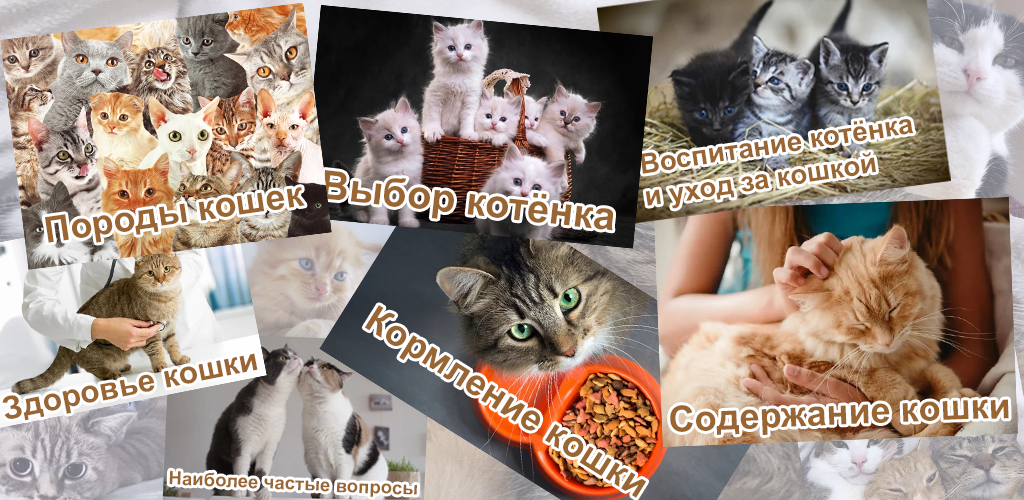 Zoogalaxy Social Network