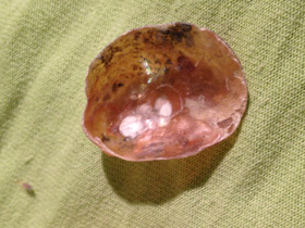 Фото Аномии