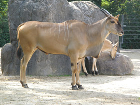 Смотреть фото Самостоятельные малыши Фото Самостоятельные малыши