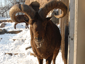 Фото Дагестанский тур