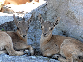 Фото Дагестанский тур