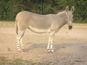 Смотреть фото Храбрецы и трусы Фото Храбрецы и трусы