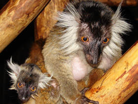 Смотреть фото «Мама, возьми меня на ручки!» Фото «Мама, возьми меня на ручки!»