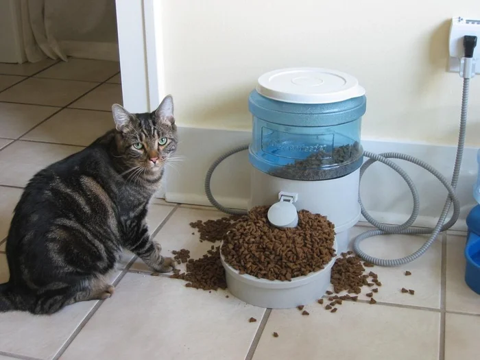 Автокормушка для кошек