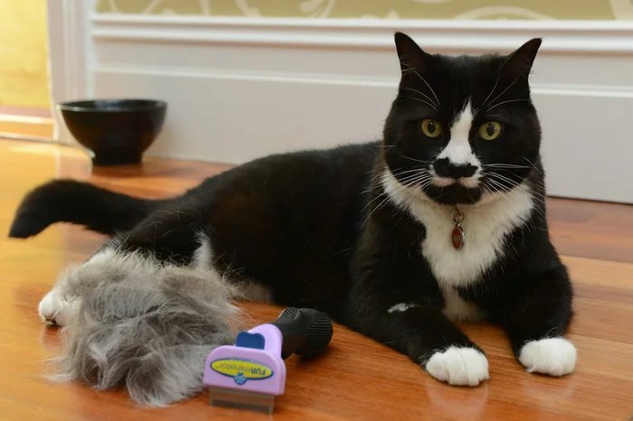 Фурминатор для кошки