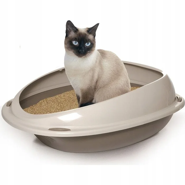 Несколько правил размещения кошачьего лотка