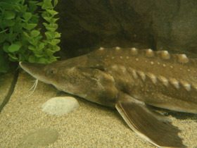 Смотреть фото Калуга Фото Калуга