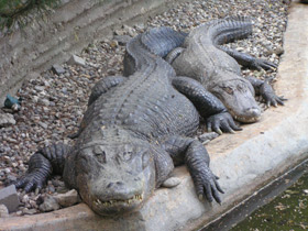 Смотреть фото Самые Фото Самые